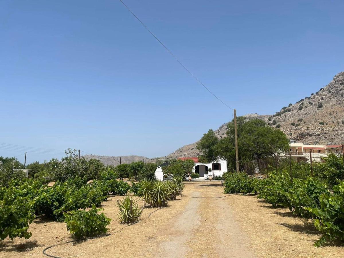 Aegean Endless Summer Villa Pefkos Pefki  Екстер'єр фото