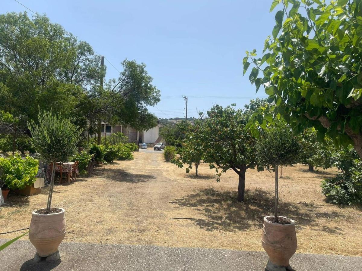 Aegean Endless Summer Villa Pefkos Pefki  Екстер'єр фото