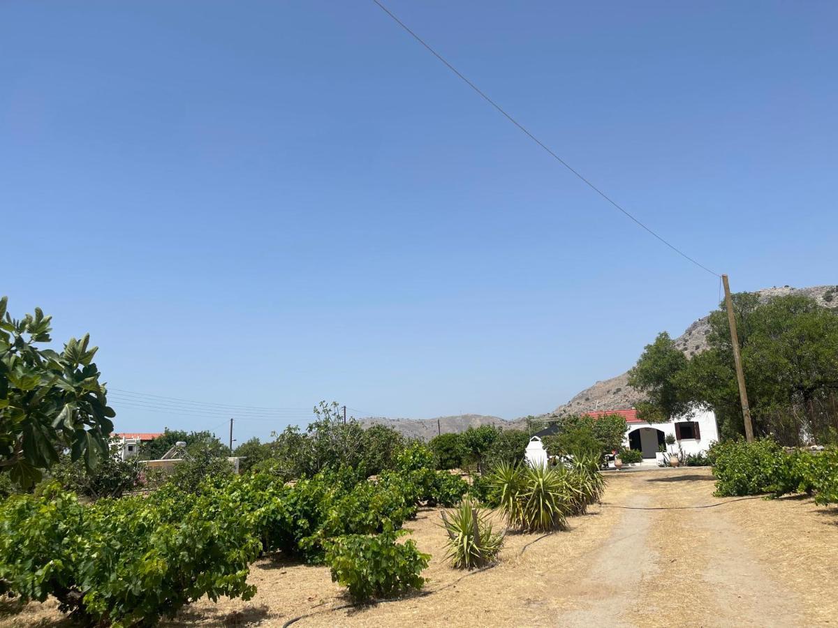 Aegean Endless Summer Villa Pefkos Pefki  Екстер'єр фото
