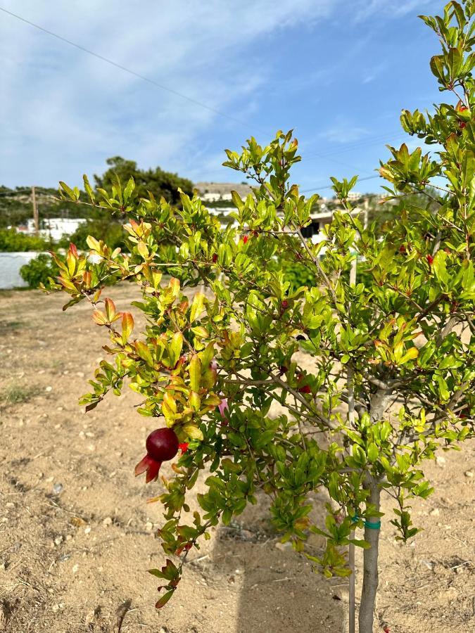 Aegean Endless Summer Villa Pefkos Pefki  Екстер'єр фото